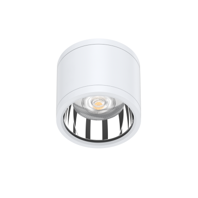 DIPLOMAT 30W IP65 Round Can Light