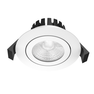 EMPRESS Gimbal 10W Downlight