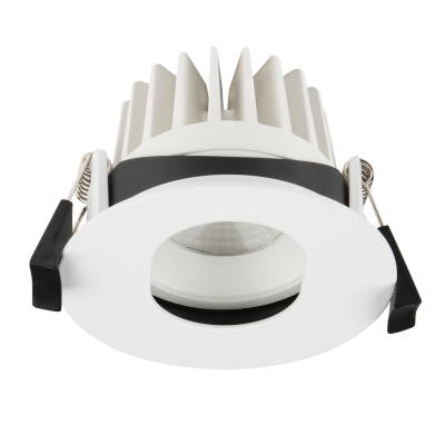 ROSCO 10W Gimbal Slotted Downlight