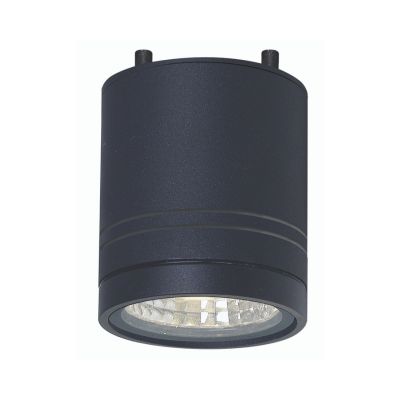 LITHO 9W Exterior Ceiling Light