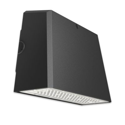 RONAN 20W Exterior Wall Light