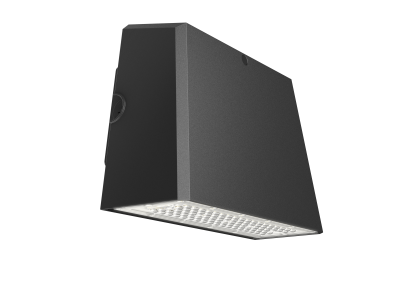 RONAN 40W Exterior Wall Light