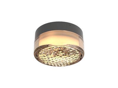 SIDNEY 6W Exterior Ceiling/ Wall Light