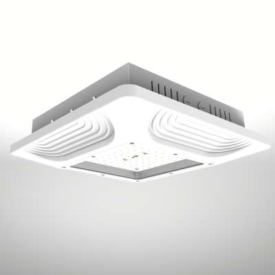 LAWSON MK-II 100W Canopy Light