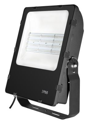 LENNOX 48W Asymmetric Floodlight