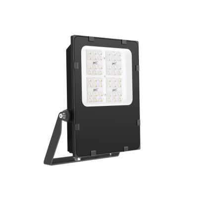 ZORIN 50W Floodlight