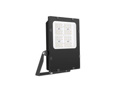 ZORIN 50W Floodlight
