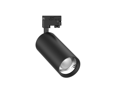 MODIS-L 30W Tracklight